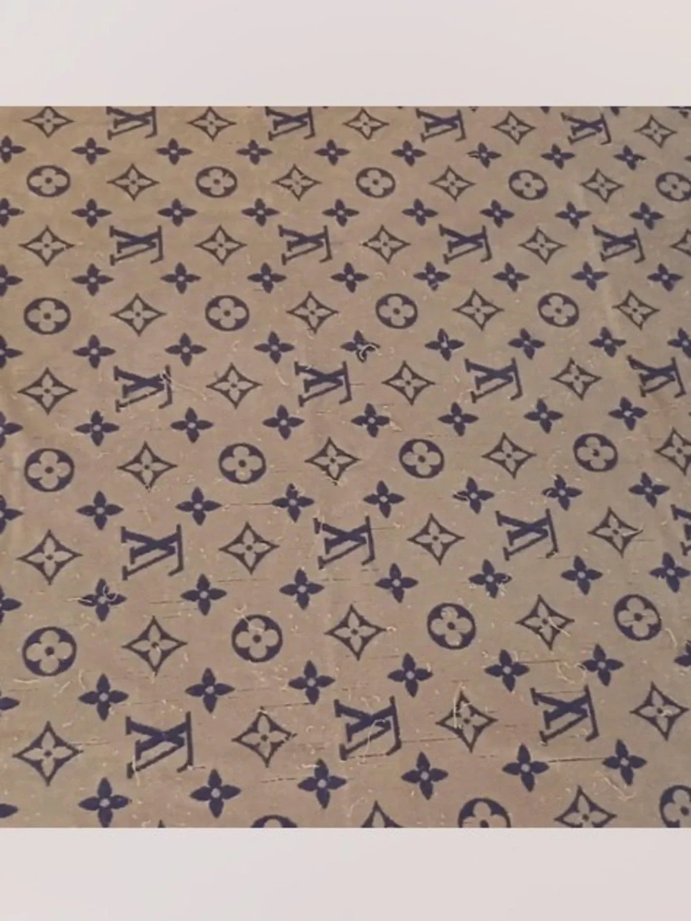 Louis Vuitton MonogramCotton Towel Reversible